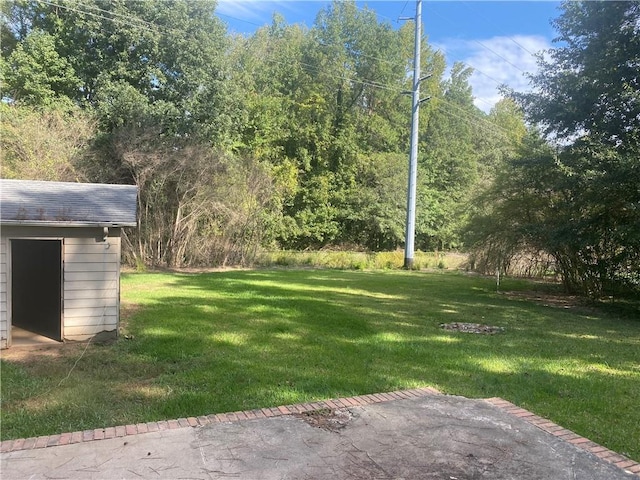 view of yard featuring a patio area and a shed