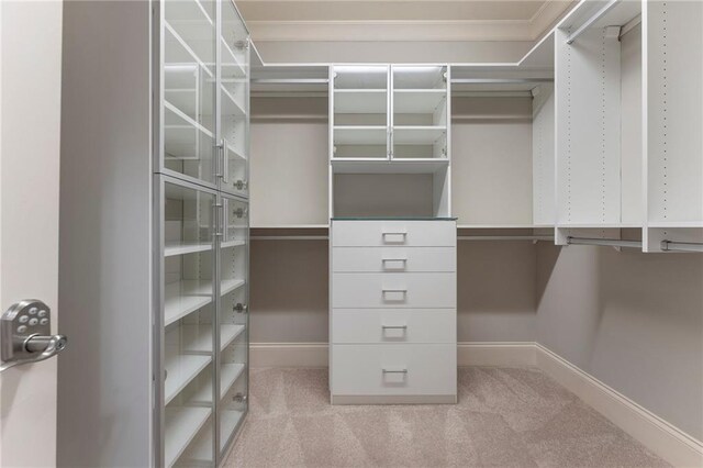 walk in closet with light colored carpet