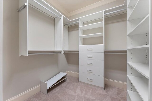 spacious closet featuring light carpet