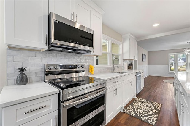 kitchen with appliances with stainless steel finishes, a wainscoted wall, dark wood-style flooring, a sink, and white cabinetry