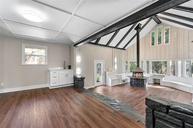 interior space featuring dark wood-type flooring, a healthy amount of sunlight, a wood stove, and baseboards