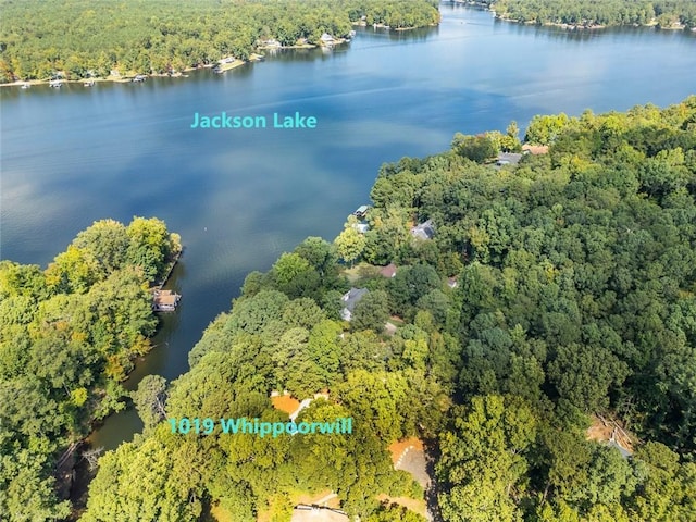 1019 Whippoorwill Rd, Monticello, GA 31064 - aerial view of a heavily wooded area and a large body of water