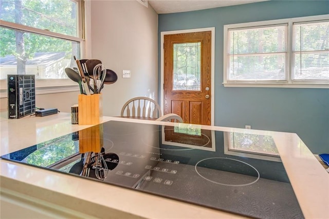 1019 Whippoorwill Rd, Monticello, GA 31064 - detailed view of black electric stovetop