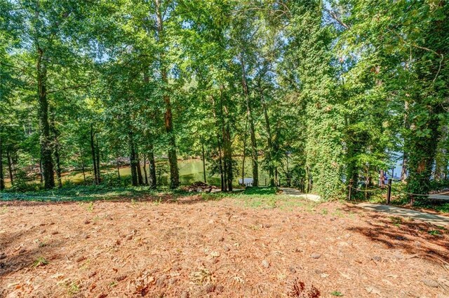 1019 Whippoorwill Rd, Monticello, GA 31064 - view of yard