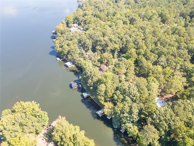1019 Whippoorwill Rd, Monticello, GA 31064 - view of property location featuring a heavily wooded area and a large body of water