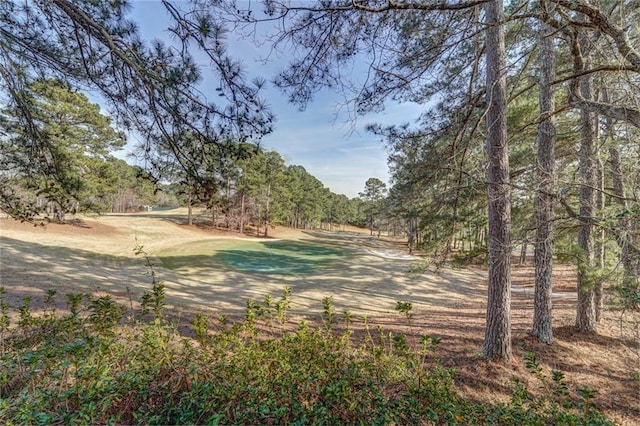 1019 Whippoorwill Rd, Monticello, GA 31064 - view of yard