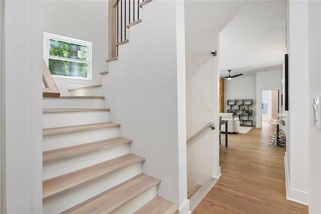 staircase featuring ceiling fan and wood-type flooring