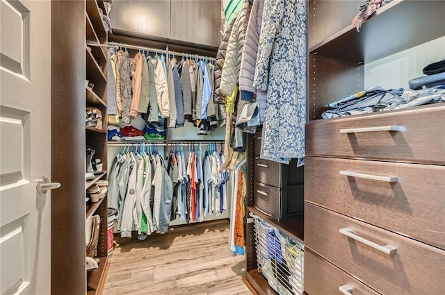 walk in closet featuring wood finished floors