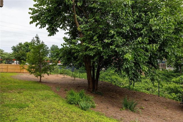1196 Wylie St SE, Atlanta, GA 30316 - view of yard