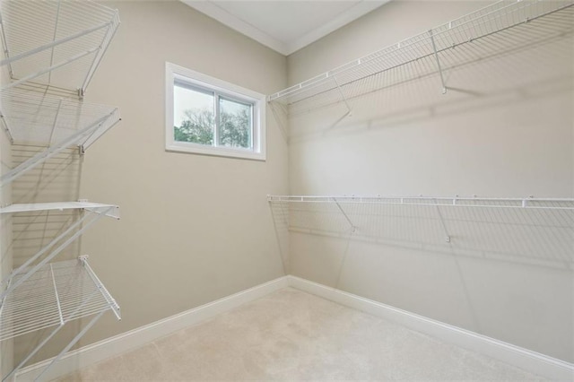 walk in closet featuring carpet