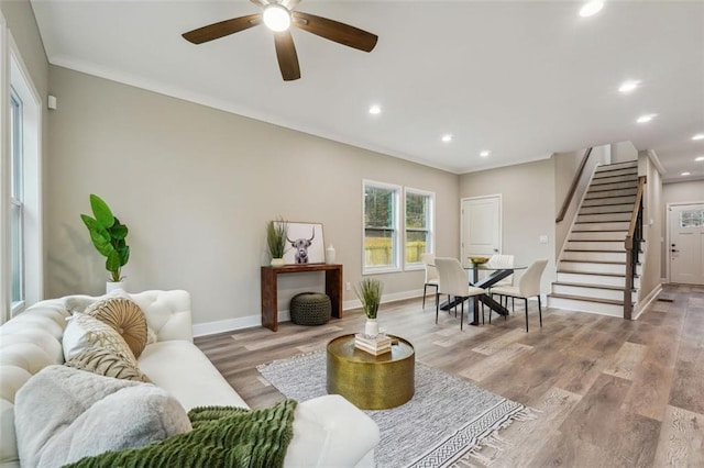 living room with ceiling fan, light wood-type flooring, and crown molding