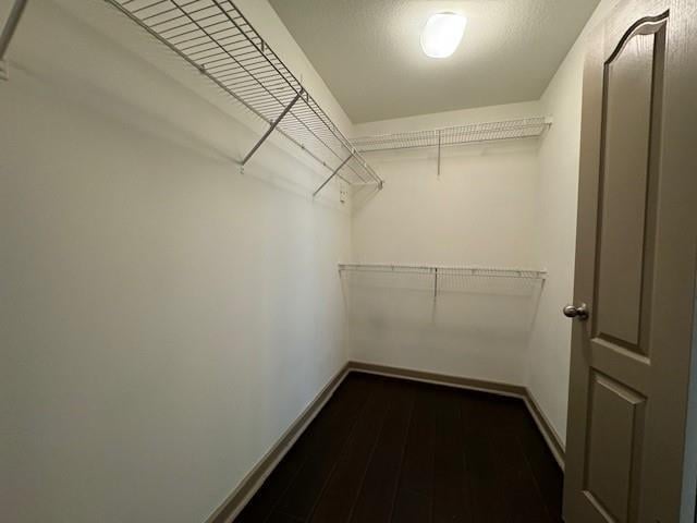 walk in closet featuring dark wood-style floors