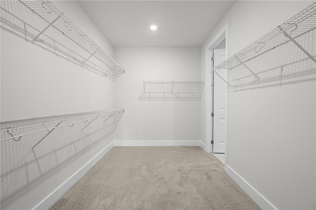 spacious closet featuring carpet floors