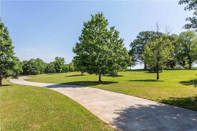 view of property's community with a yard