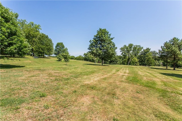 view of yard with a rural view