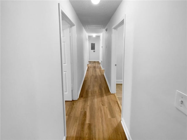 355 Marietta Hwy, Roswell, GA 30075 - corridor with wood finished floors, baseboards, and a textured ceiling