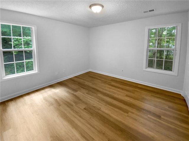 355 Marietta Hwy, Roswell, GA 30075 - empty room with plenty of natural light, a textured ceiling, wood finished floors, and baseboards
