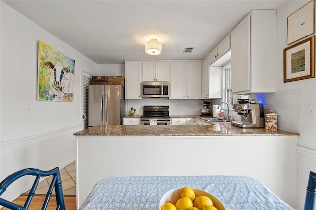 kitchen with appliances with stainless steel finishes, a sink, light stone countertops, and tasteful backsplash