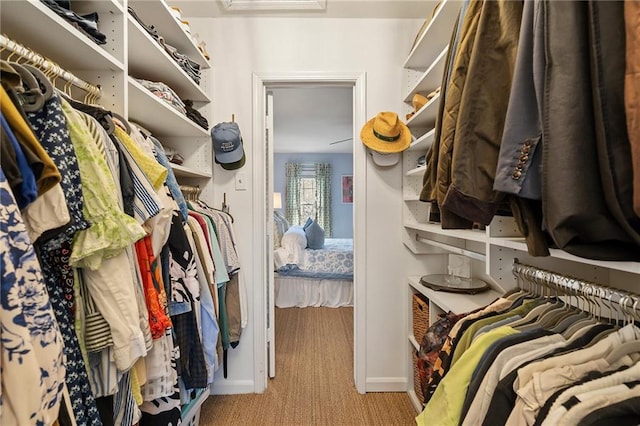 spacious closet featuring carpet floors