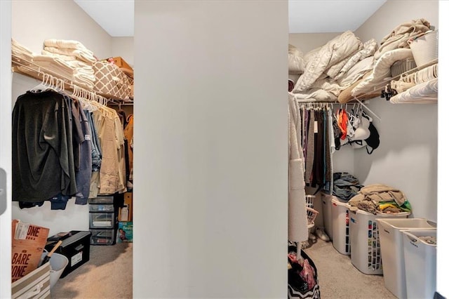 7 Wilmer Way, Cartersville, GA 30120 - spacious closet with carpet