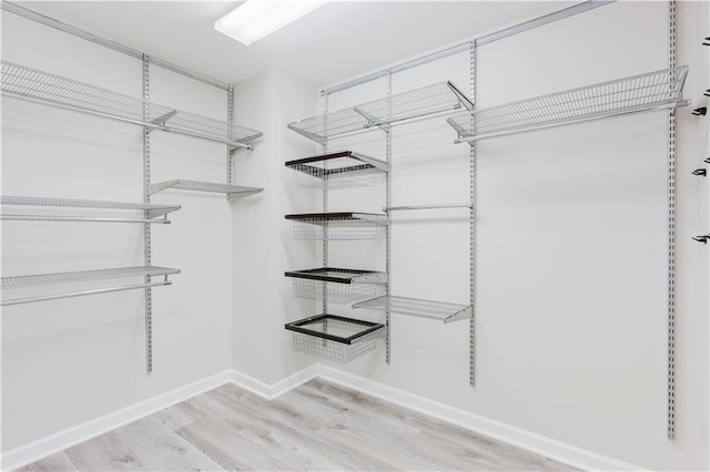 spacious closet featuring wood finished floors