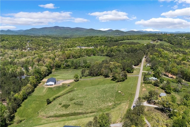 birds eye view of property featuring a mountain view