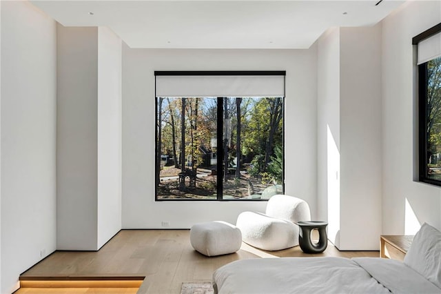 bedroom featuring multiple windows and wood finished floors