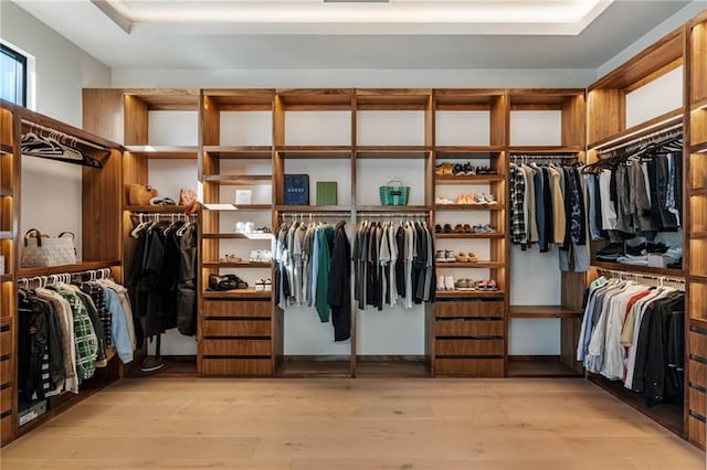 walk in closet featuring light wood-type flooring