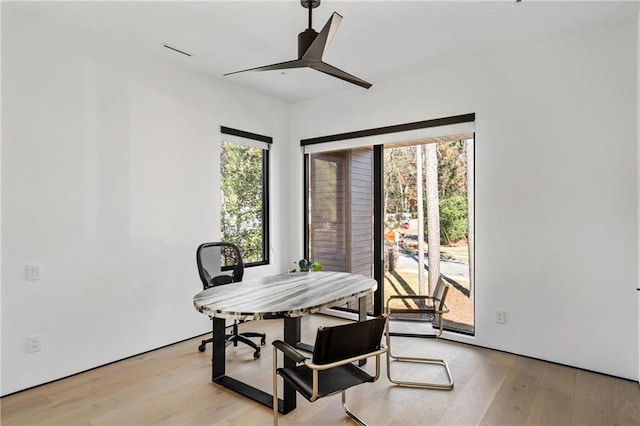 dining area with a ceiling fan, visible vents, and light wood-style floors