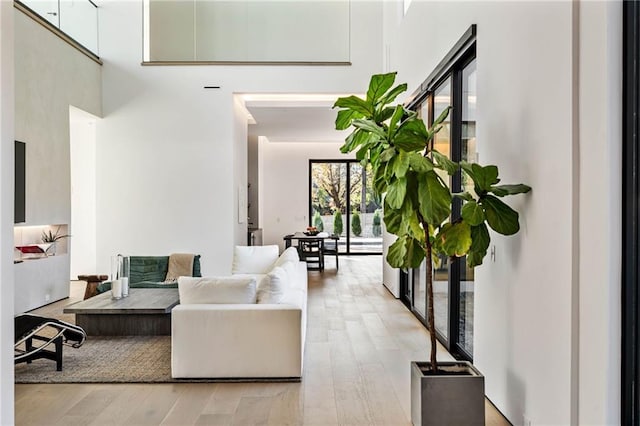 living room featuring a high ceiling and wood finished floors