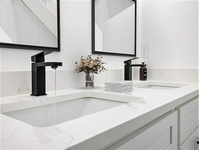 details featuring double vanity and a sink