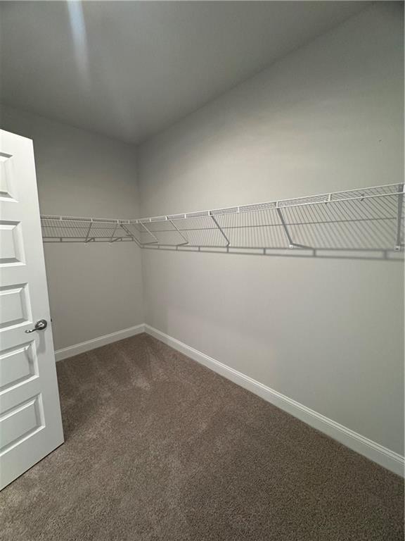 walk in closet featuring carpet