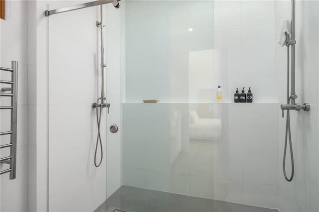 bathroom featuring a shower with shower door