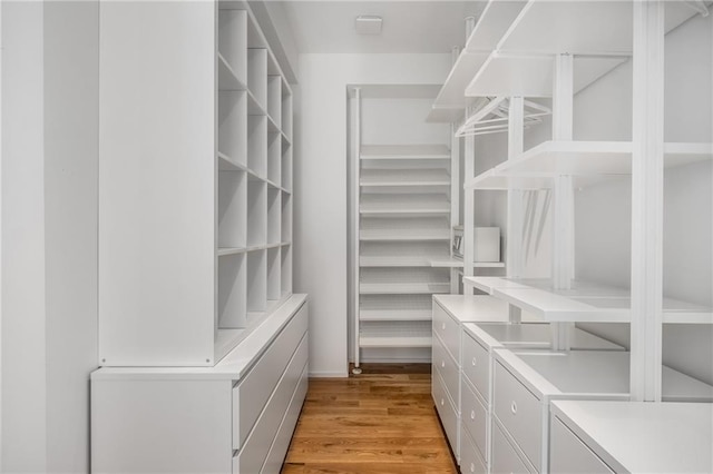 spacious closet featuring light hardwood / wood-style flooring