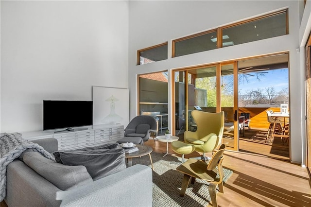 living room featuring hardwood / wood-style floors