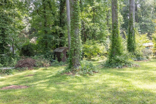 5400 Francis Ave, Stone Mountain, GA 30087 - view of grassy yard with a forest view