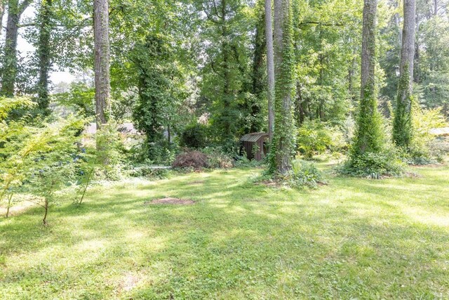 5400 Francis Ave, Stone Mountain, GA 30087 - view of grassy yard