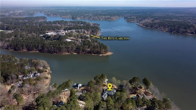 1070 Prosperity Pt, Greensboro, GA 30642 - view of property location featuring a forest and a nearby body of water