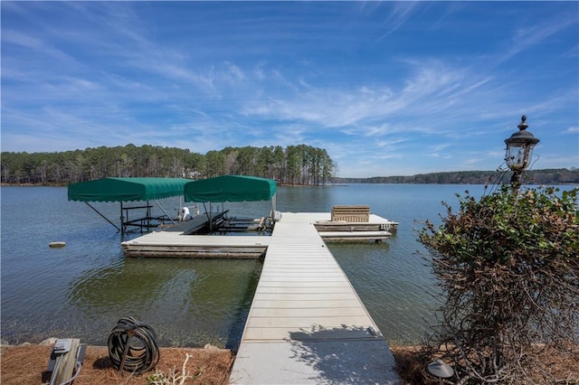 1070 Prosperity Pt, Greensboro, GA 30642 - dock area with a water view