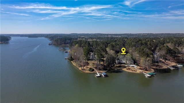 1070 Prosperity Pt, Greensboro, GA 30642 - bird's eye view of a large body of water and a forest