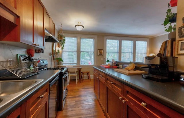 kitchen featuring hardwood / wood-style flooring, stainless steel range, ornamental molding, and a wealth of natural light