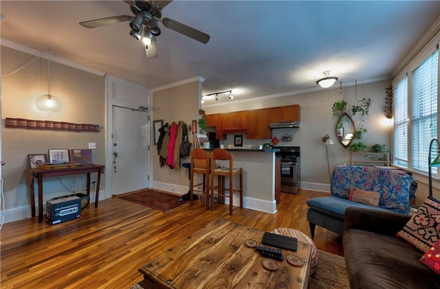 living room featuring ceiling fan, light hardwood / wood-style flooring, and ornamental molding