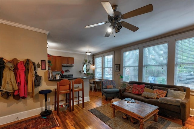 living room featuring ornamental molding, ceiling fan, and dark wood-type flooring