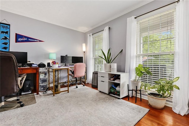 office with crown molding and wood finished floors