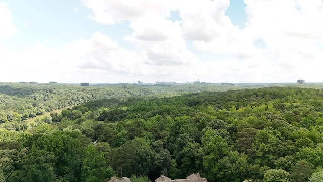 4081 Riverlook Pkwy SE Unit 13, Marietta, GA 30067 - drone / aerial view of a heavily wooded area