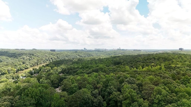 4081 Riverlook Pkwy SE Unit 13, Marietta, GA 30067 - drone / aerial view of a heavily wooded area