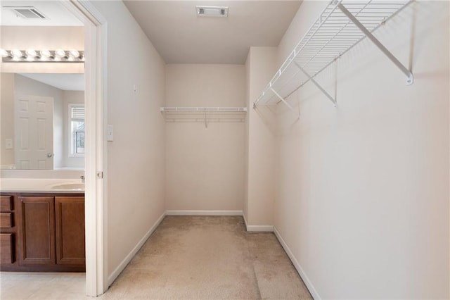 walk in closet featuring a sink, visible vents, and light carpet