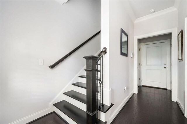 2026 Forte Ln, Alpharetta, GA 30009 - stairs with baseboards and hardwood / wood-style flooring