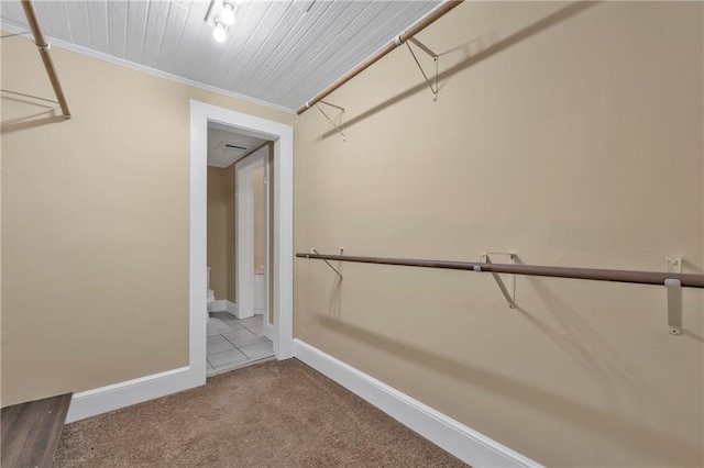 spacious closet featuring carpet flooring