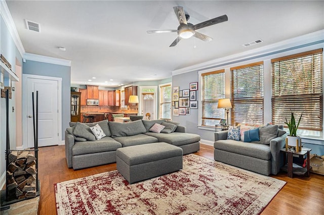 living room with ceiling fan, light hardwood / wood-style flooring, and ornamental molding